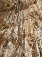 SNV80255.JPG